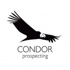 Condor Prospecting