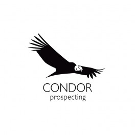 Condor Prospecting is Bronze Sponsor in AM2018, in Salta, Argentina