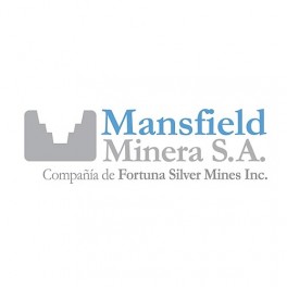 Minera Mansfield is Platinum Sponsors at Argentina Mining 2020