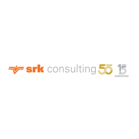 SRK Consulting